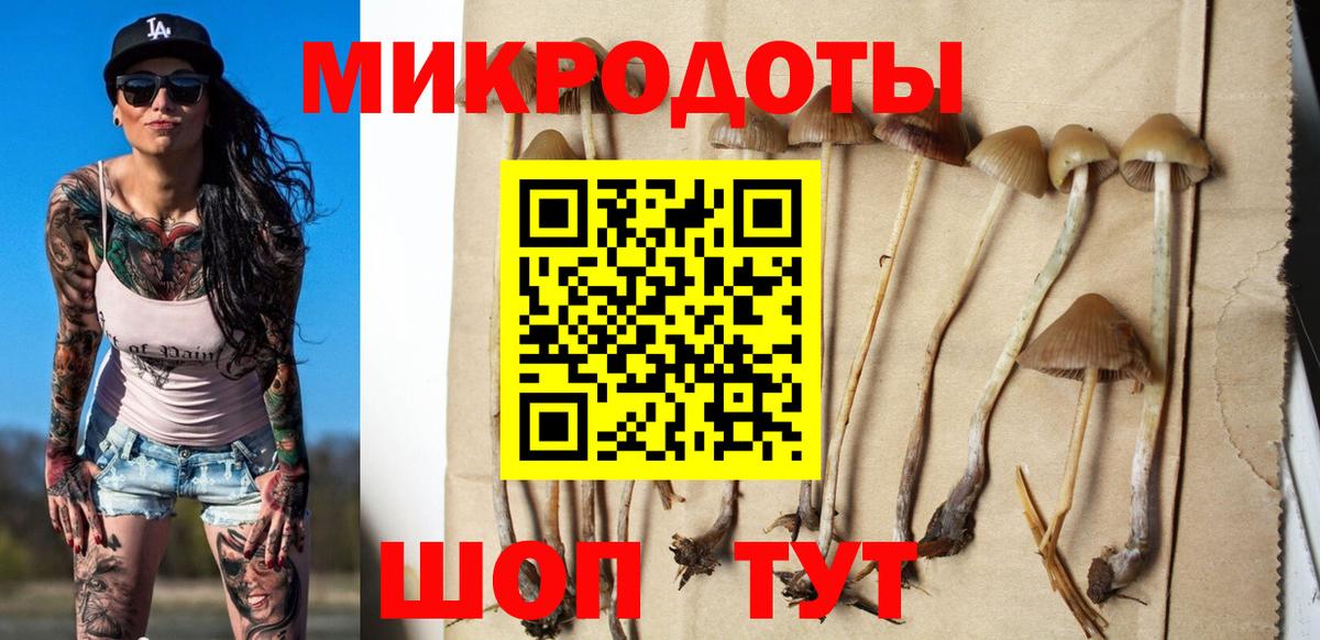 Галлюциногенные грибы мухоморы Кирово-Чепецк