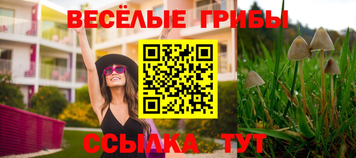 дарнет шоп  Псилоцибиновые грибы Psilocybe  Вход с VPN  Кирово-Чепецк 